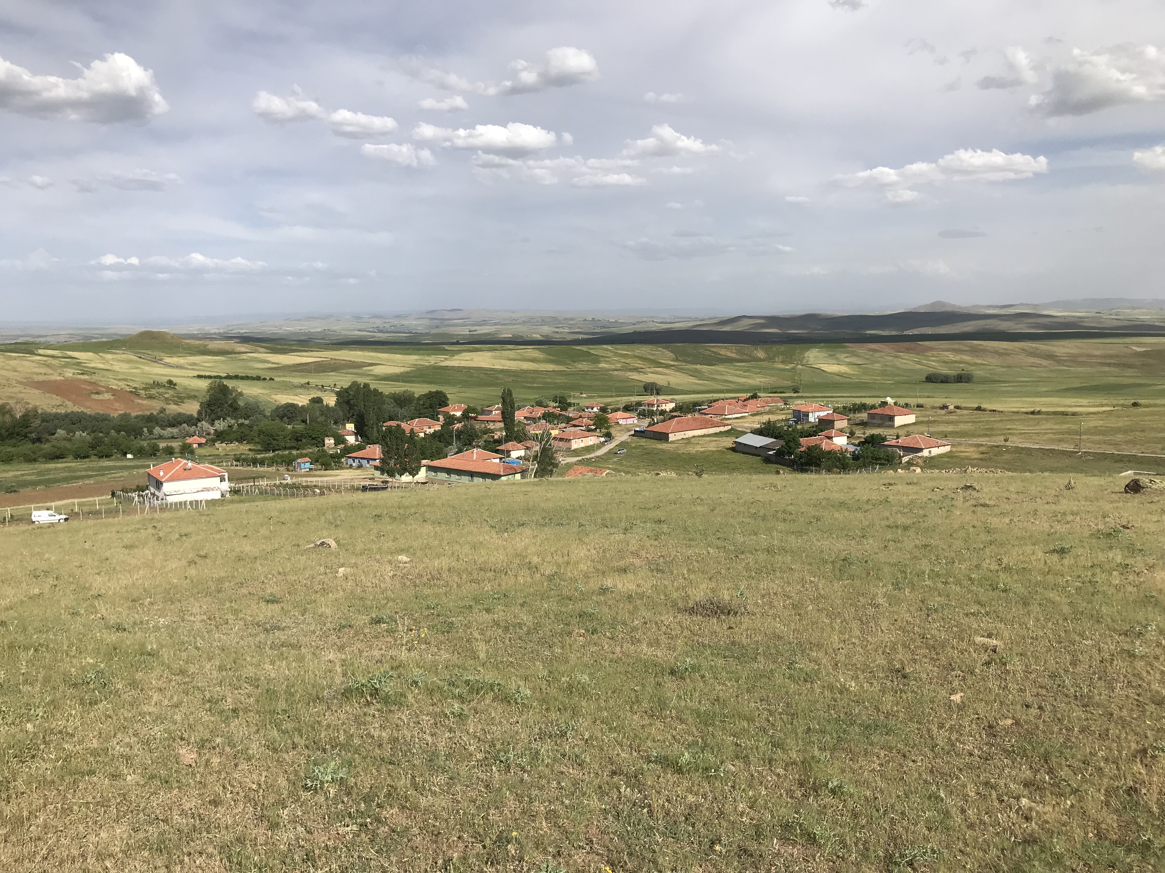 Yol Arkadaşım - Fıstık Çıkı Çıkı (Sinemalarda!)